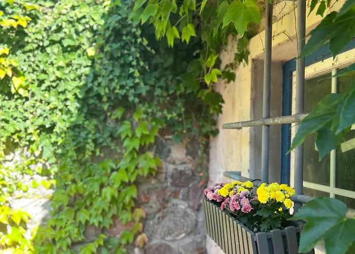 Am Flecken Zechlin بيت للعطل *